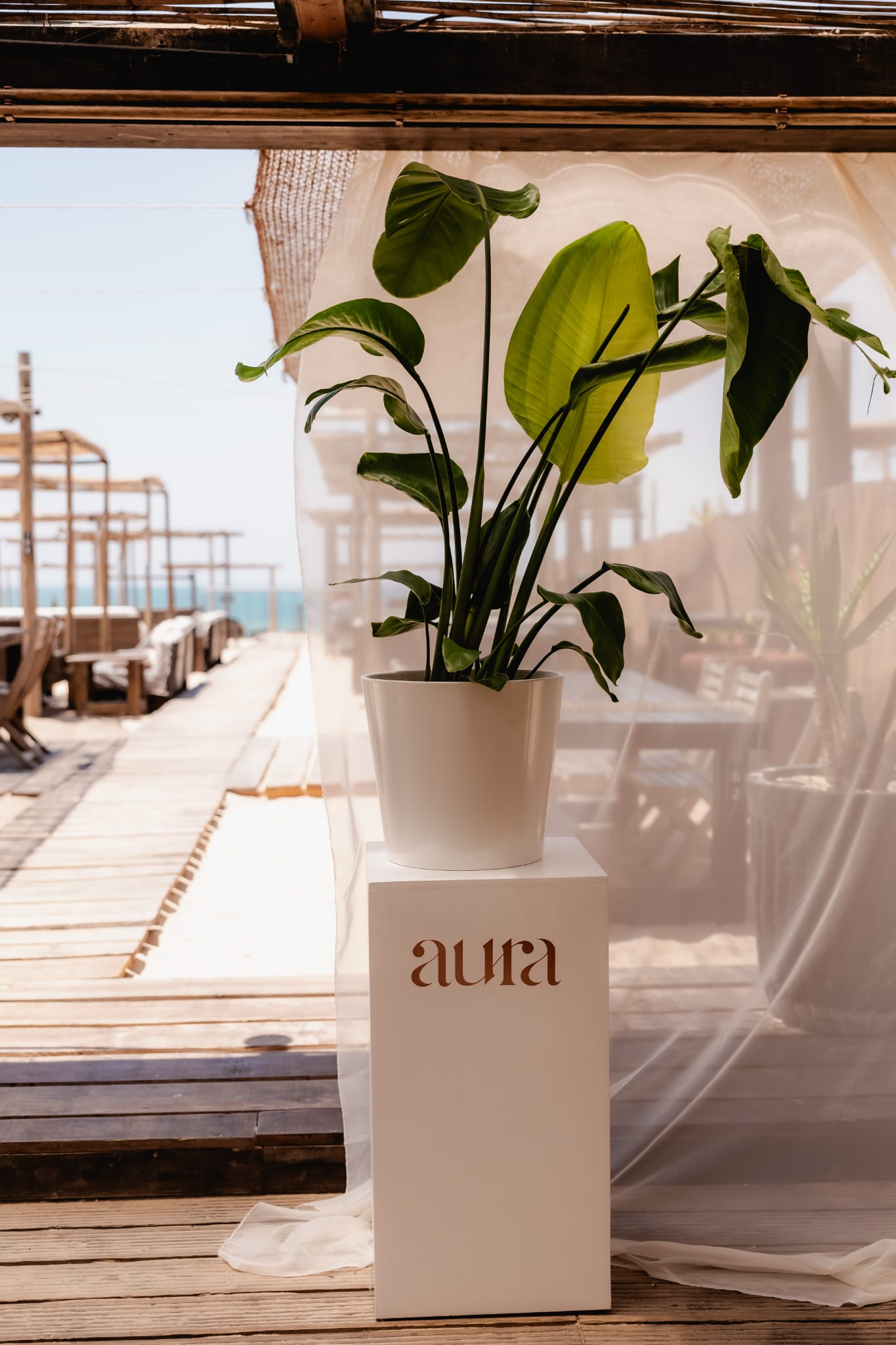 Aura — Expositor Pedestal